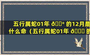 五行属蛇01年 💮 的12月是什么命（五行属蛇01年 🐟 的12月是什么命运）